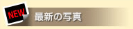 最新の写真