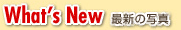 What's New 最新の写真